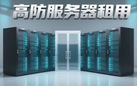 租高防服务器去哪里租？2025 年高防服务器租用全攻略与服务商优选指南