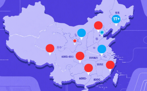 高防独立服务器租用：从核心需求到全场景解决方案