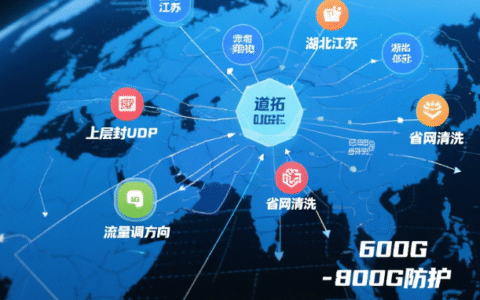 多线和 BGP 高防服务器深度对比：如何选择更适合业务的网络架构？
