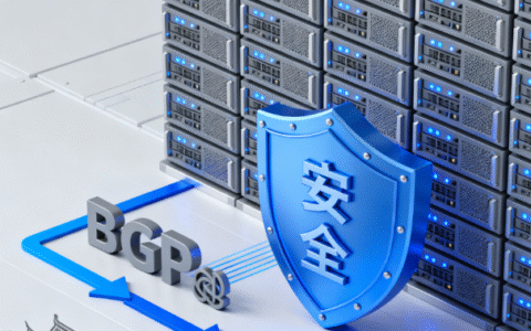 高防服务器租用价格的 5 大核心计算维度（2025 最新指南）