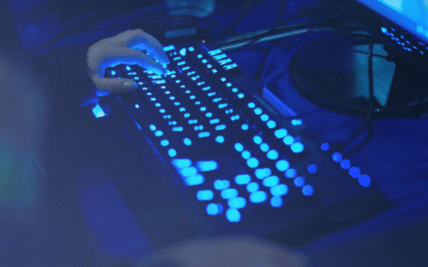 域名自动过白名单的高防服务器机房有哪些？2025 年道拓网络核心机房推荐与实战解析