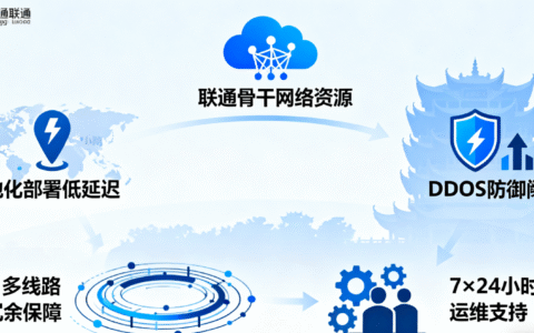 联通高防服务器多少钱一个月？2025 眉山联通高防服务器最新价格与配置详解