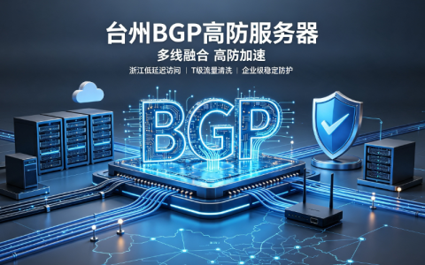 台州 BGP 高防服务器｜浙江本地多线高防机房，政企游戏电商专用抗攻击主机